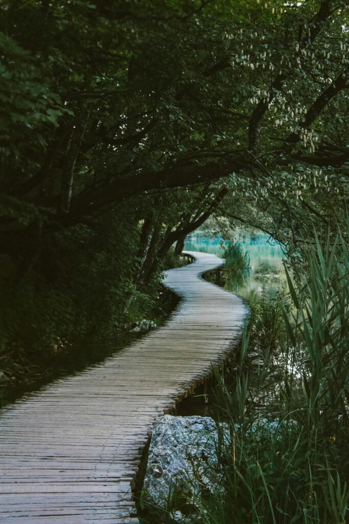 A tranquil wooden path winds through a lush forest next to a serene lake.